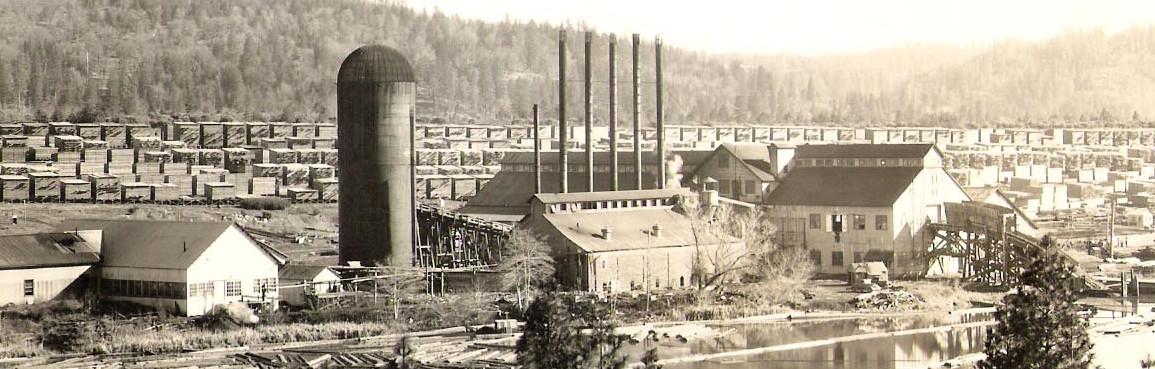 /images/sawmillTrippCropped.thumbnail.jpg